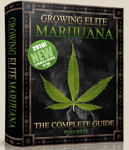 #Growing #Elite #Marijuana