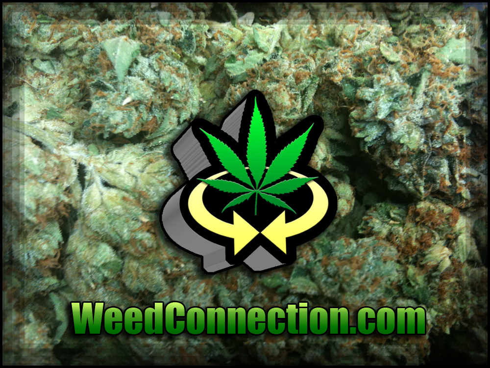 4-20-2012 Events @WeedConnection