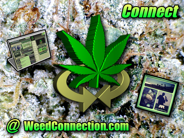 #Connect @WeedConnection