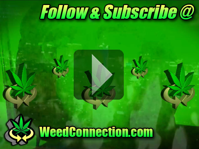 #Follow #Subscribe @WeedConnection