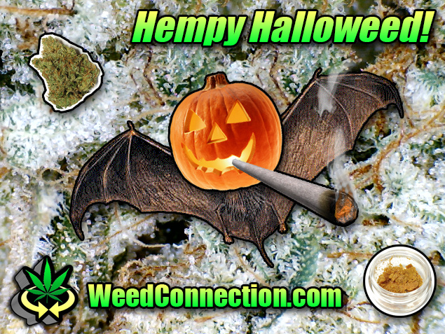 #Hempy #Halloweed #2022