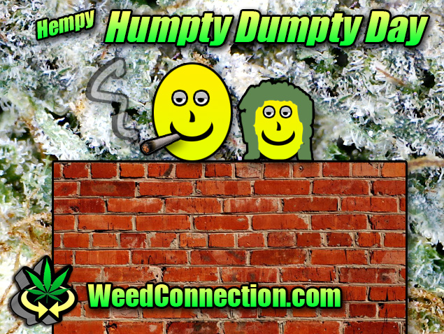 #Hempy #HumptyDumptyDay