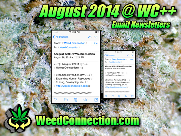#Newsletter #August #2014