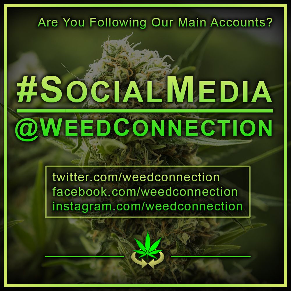 #SocialMedia @WeedConnection