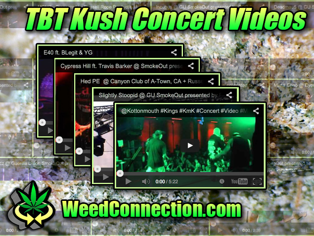 #TBT #Kush #Concert #Videos