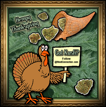 #Hempy #Thanksgiving